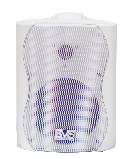 SVS Audiotechnik WS-30 White Громкоговоритель настенный