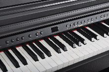 Artesia DP-3 Satin Цифровое фортепиано