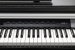 Kurzweil CUP P1 BK Цифровое пианино