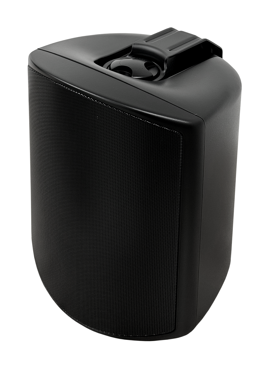 SVS Audiotechnik WSP-6B Pro Всепогодная трансляционная акустическая система