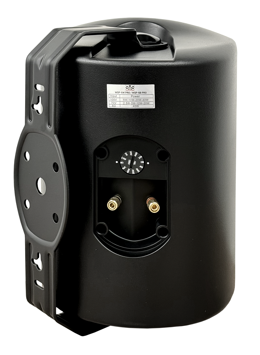 SVS Audiotechnik WSP-6B Pro Всепогодная трансляционная акустическая система