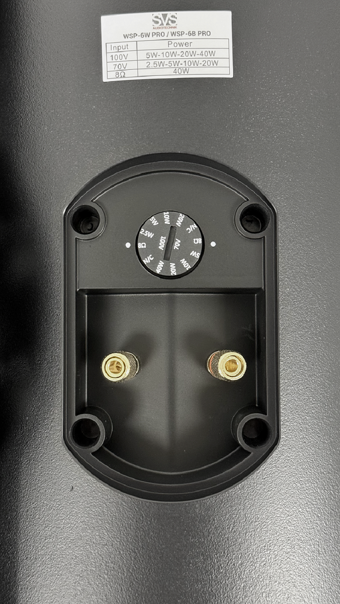SVS Audiotechnik WSP-6B Pro Всепогодная трансляционная акустическая система