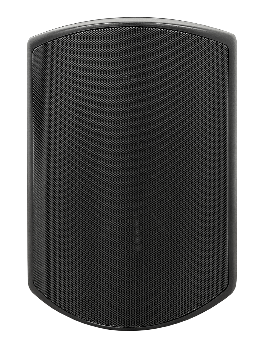 SVS Audiotechnik WSP-6B Pro Всепогодная трансляционная акустическая система